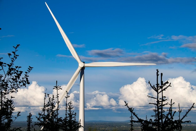 Foto molino de viento tradicional contra el cielo azul