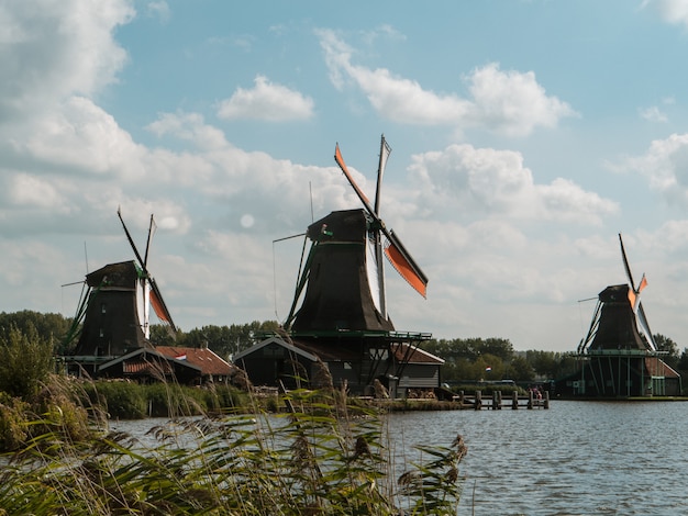 Foto molinos en amsterdam