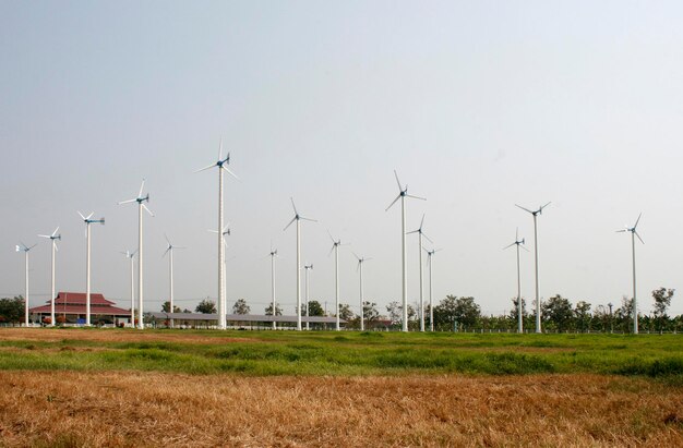 Molinos eólicos para la producción de energía eléctrica