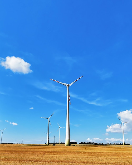 Molinos de viento en el campo en verano