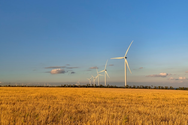 Molinos de viento contra el cielo del atardecer en un campo amarillo