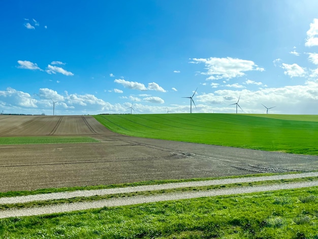 Molinos de viento en el fondo de un campo verde y un cielo nublado azul