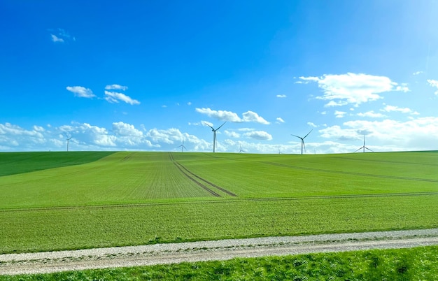 Molinos de viento en el fondo de un campo verde y un cielo nublado azul