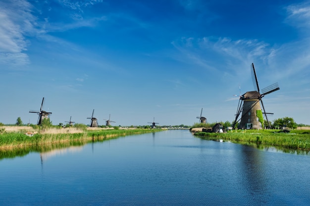 Molinos de viento en Kinderdijk en Holanda. Países Bajos