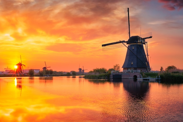 Molinos de viento en kinderdijk en holanda países bajos