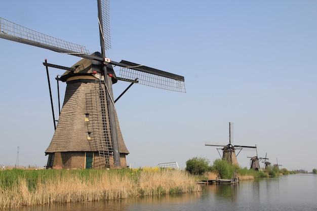 Molinos de viento en la orilla del canal