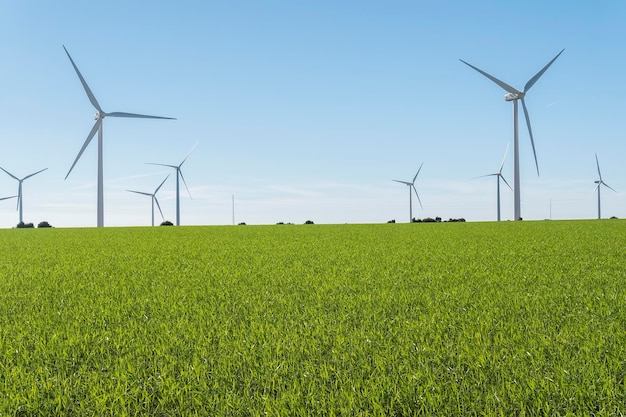 Molinos de viento para la producción de energía eléctrica aerogeneradores de energía ecológica