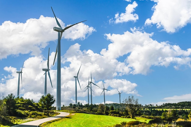 Molinos de viento para la producción de energía eléctrica. Parque eólico de origen renovable, alternativo y sostenible.