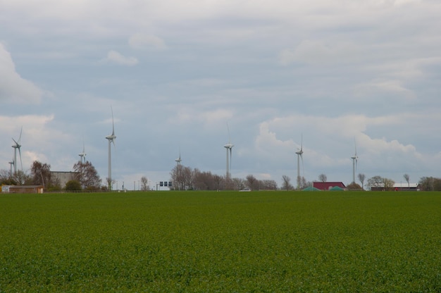 Molinos de viento en Puttgarden Alemania