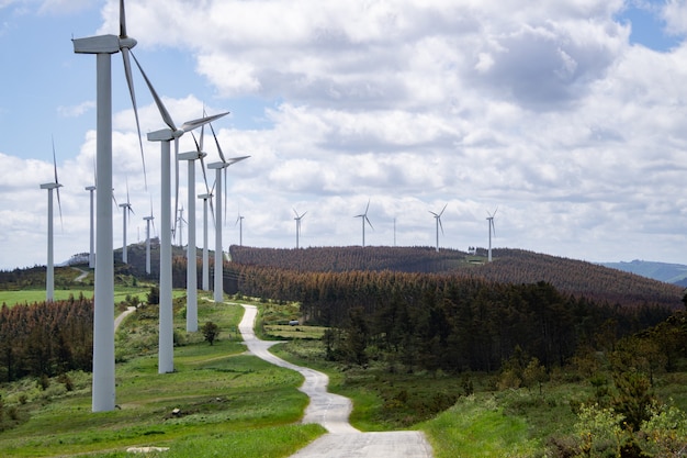 Molinos de viento que producen energía sostenible y renovable Energía eólica carretera de montaña