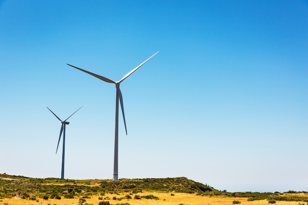 Molinos de viento en el valle