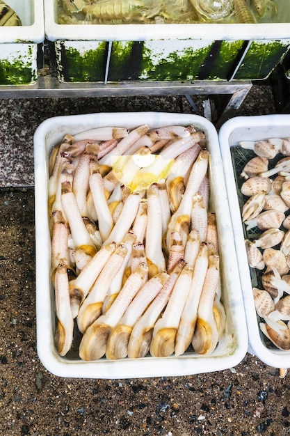 Molusco Geoduck en el mercado de pescado en la ciudad de Guangzhou