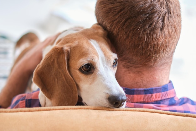 Momento amoroso entre un hombre y su beagle capturado mostrando pura alegría y compañerismo el poder