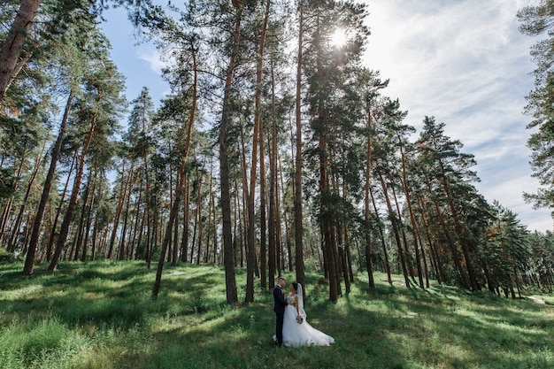 Momento de casamento romântico. Casal jovem feliz casamento ao ar livre no parque olhando uns aos outros. retrato emocional da noiva e do noivo ao ar livre em dia de sol. apenas se divertiu. dia do casamento