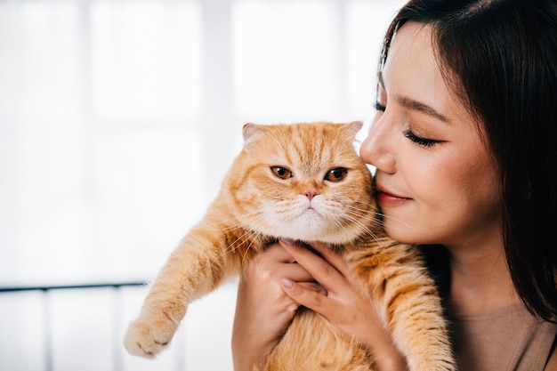 Un momento tierno de una mujer con su adorable gatito de pelo largo un gato escocés naranja Fold hace hincapié en la conexión especial entre ellos en un entorno doméstico cómodo