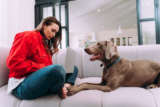 Momentos de estilo de vida de una mujer joven en casa. Mujer jugando con su perro en la sala de estar