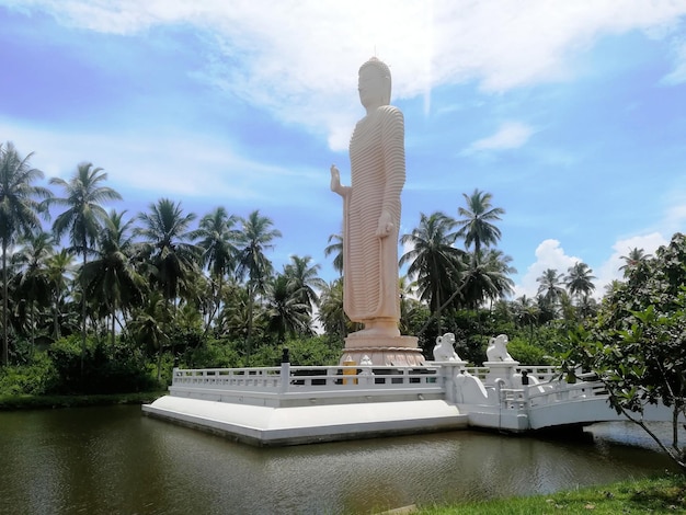 Monasterio budista Buda estatua karma zen