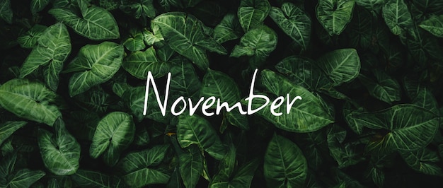 Monat November-Collage