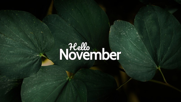 Monat November-Collage