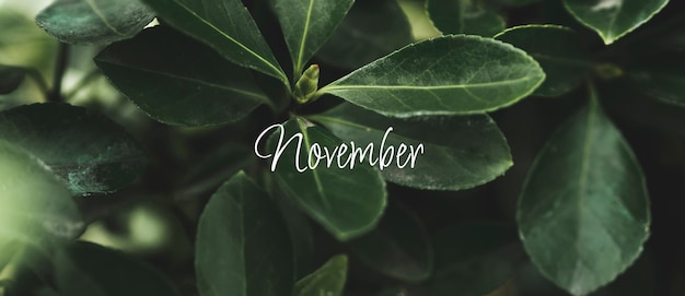 Monat November-Collage