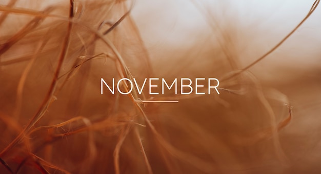 Monat November-Collage