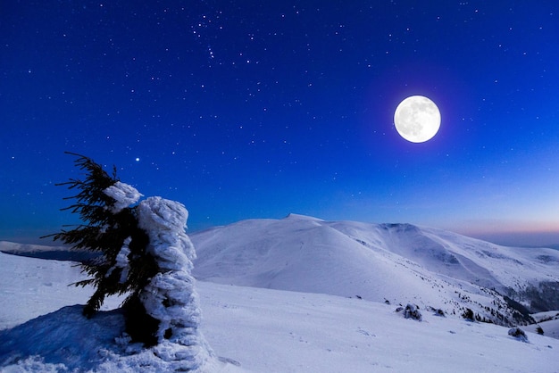 Mond berührt Berg Ukraine Karpaten Dragobrat