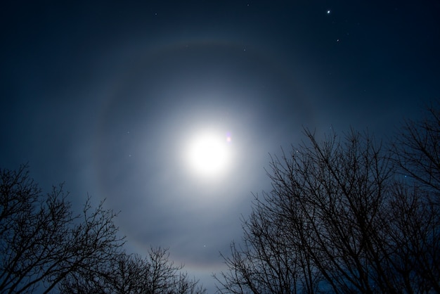 Foto mond halo