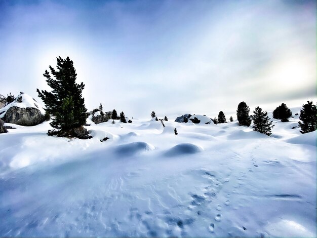 Foto mond-schneelandschaft