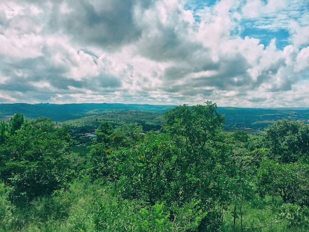 Mondulkiri Landschaft