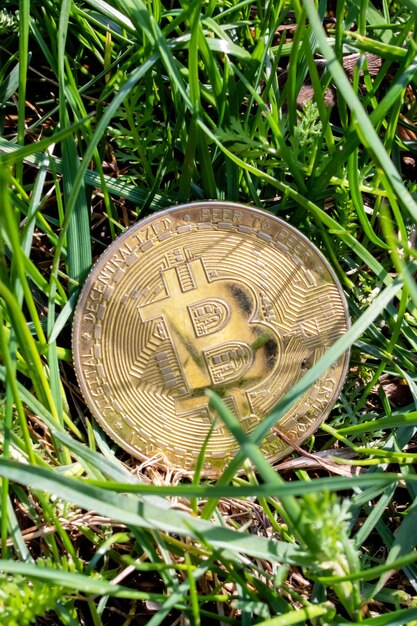 Moneda Bitcoin en el primer plano de la hierba verde