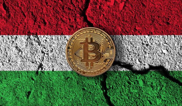 Moneda criptográfica de bitcoin con restricciones criptográficas de bandera de hungría agrietada