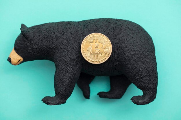 Moneda de criptomoneda bitcoin con un oso grizzly comercio de bitcoin bajista