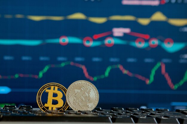 Moneda de oro Bitcoin y fondo gráfico desenfocado. Concepto de criptomoneda virtual.