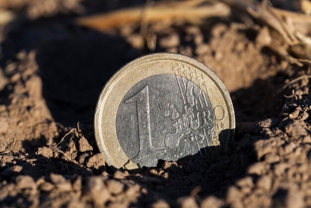 Moneda en el suelo