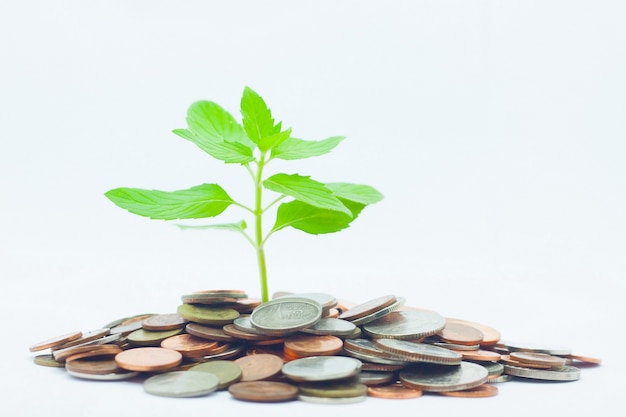 Monedas con árbol para inversión y concepto de ahorro
