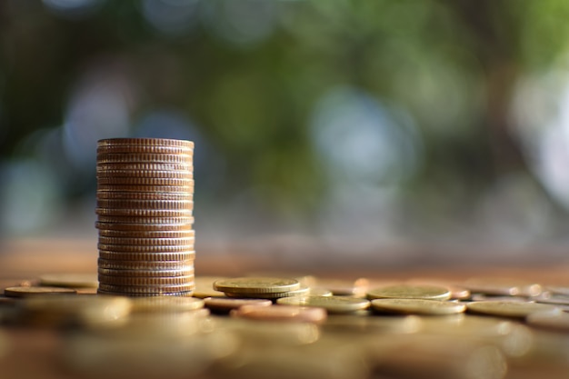 Monedas dispuestas verticalmente en el tablón de madera y el fondo del árbol bokeh