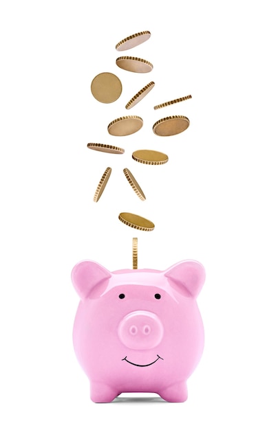 Las monedas, las finanzas, el ahorro de dinero, la bolsa de negocios, las inversiones, la banca, la bolsa, la riqueza de los cerdos.