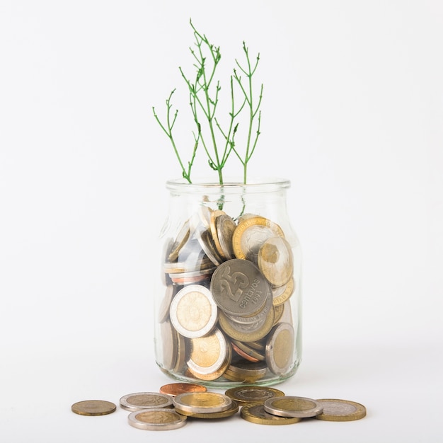 Foto monedas en jarra con planta