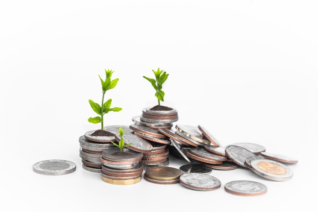 Foto monedas con la planta joven en la tabla blanca.