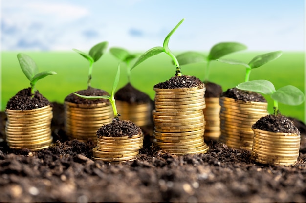 Monedas en el suelo con plantas jóvenes en el fondo