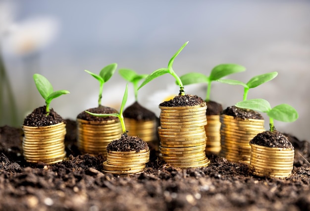 Monedas en el suelo con plantas jóvenes en el fondo