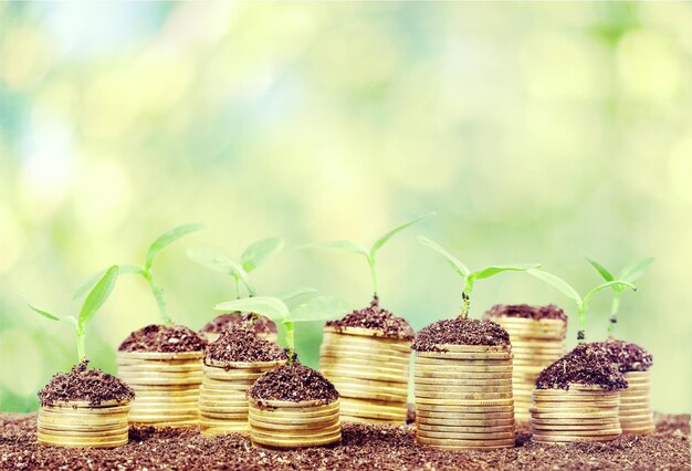 Monedas en suelo con plantas jóvenes sobre fondo borroso