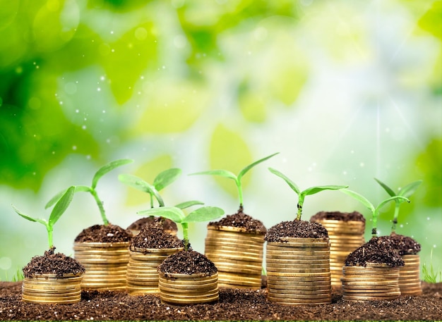 Monedas en el suelo con plantas jóvenes sobre fondo borroso