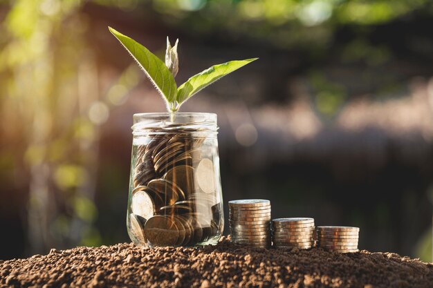 Monedas en tarro con dinero pila paso creciente dinero, negocio de finanzas concepto