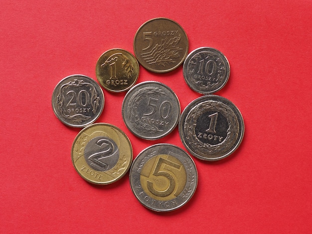 Foto monedas de zloty polaco, polonia