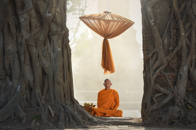 Monge asiático meditando sob uma árvore, tailândia