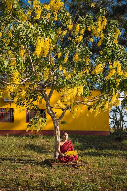 Monge budista meditando sob uma árvore.