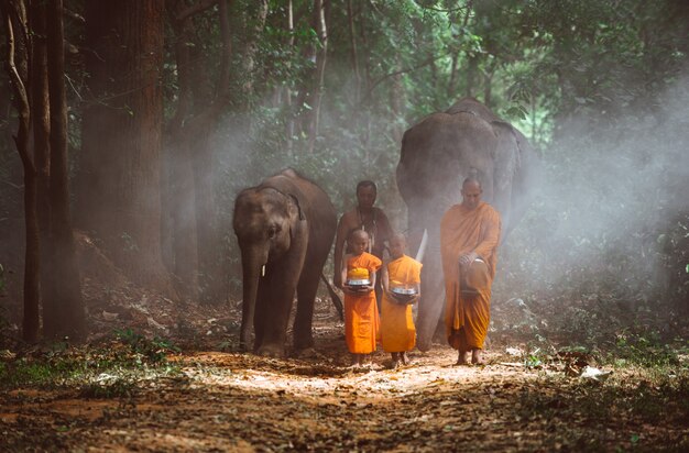 Monges tailandeses andando na selva com elefantes