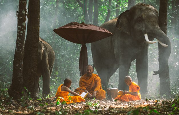 Monges tailandeses andando na selva com elefantes