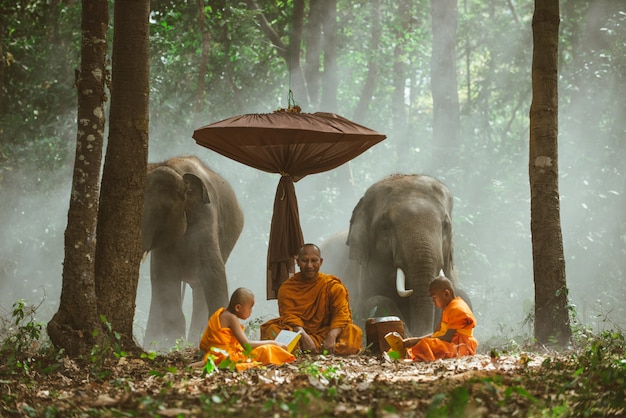 Monges tailandeses estudando na selva com elefantes